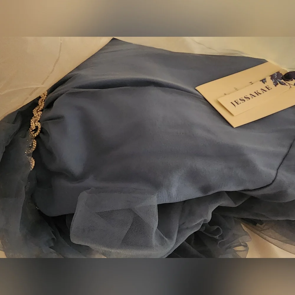 Elegant Blue Tiered Tulle Dress - Picture 2 of 3